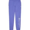Champion Youth Classic Script Logo Powerblend Fleece Joggers -Columbia Store B32