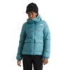The North Face Women's Gotham Down Insulated Winter Jacket 1 The North Face Women's Gotham Down Insulated Winter Jacket -Columbia Store BFB